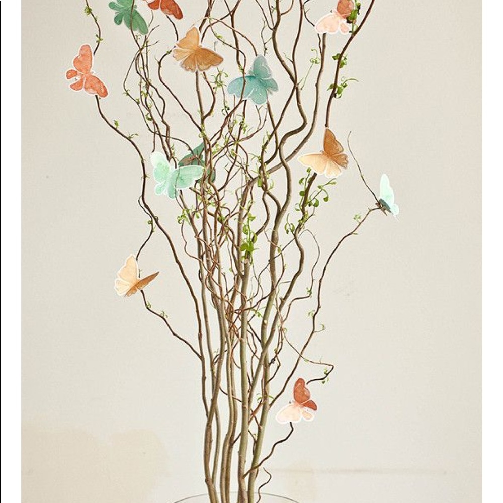 Meet your Posher, Zendy